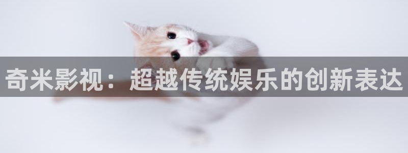 天狼2019电影免费完整版