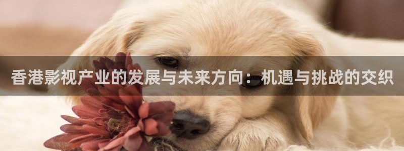 韩国电影天狼电影院：香港影视产业的发展与未来方向：机遇与挑战的交织