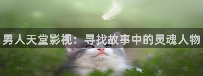 天狼影影院：男人天堂影视：寻找故事中的灵魂人物