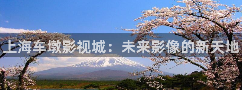 星辰影院免费观看电视剧电影天狼