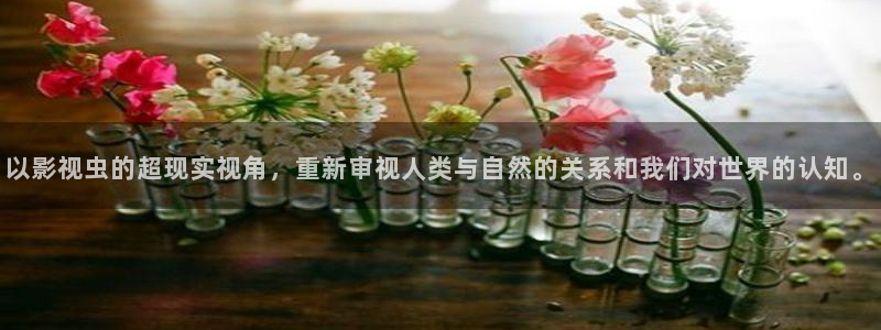 天狼影院手机在线播放